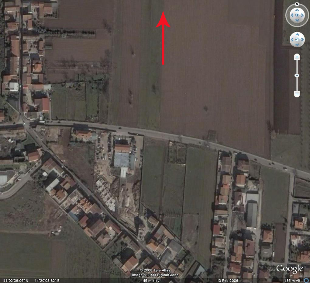 Volpe in pieno centro urbano - Spettacolo spiacevole